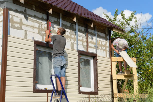 Best Custom Siding Design  in Blissfield, MI